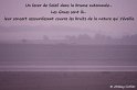 b05_Lac du Der-026txngw_GF